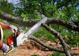 Lawn Renovation and Restoration in Enochville, NC